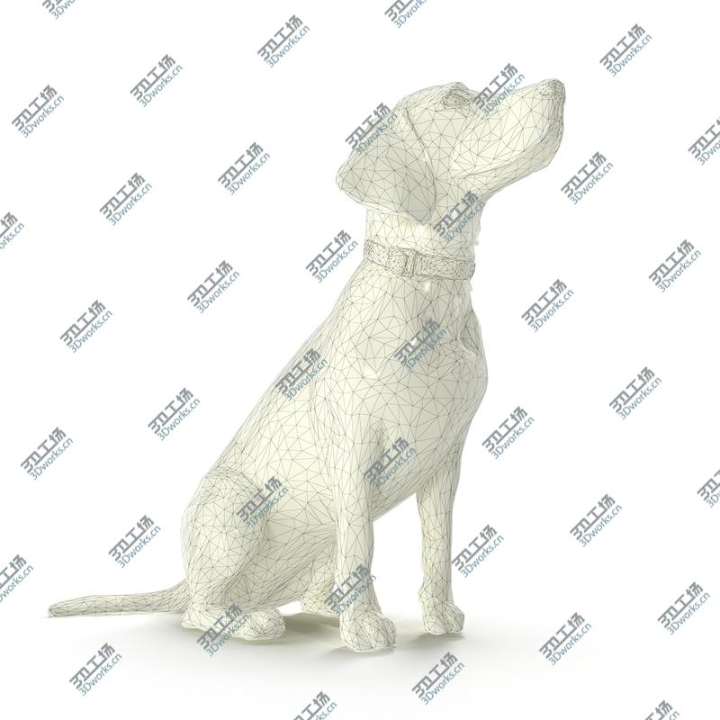 images/goods_img/202104092/3D Beagle/2.jpg